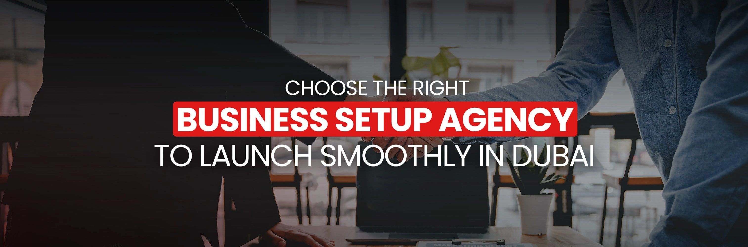 Business Setup Agency