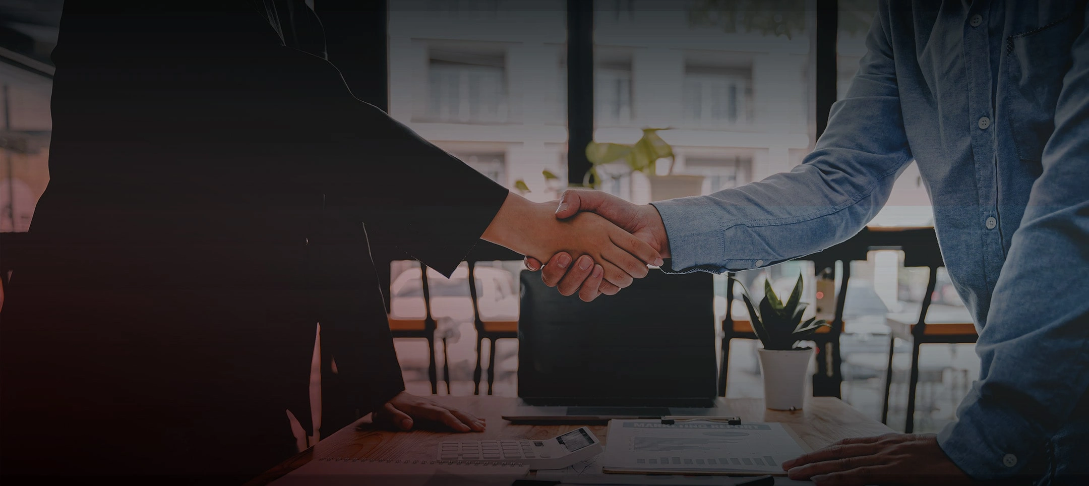 Business Setup Agency